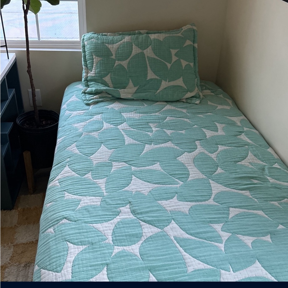 Dusen Dusen leaf coverlet (twin) in sage, comes with pillowcase. Barely used!